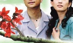 木棉花的春天电视剧,电视剧木棉花的春天温情回顾