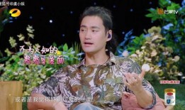 袁弘老婆爆料视频,揭秘明星夫妻背后的真实生活