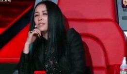 最新爆料那英过往事件视频,揭秘娱乐圈风云变幻