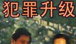 犯罪升级电视剧,罪恶深渊的螺旋攀升