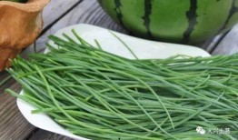 吃瓜网菜网红叫什么来着,揭秘那些让人垂涎欲滴的美食传奇