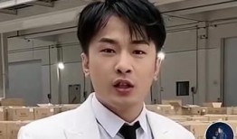 王海辛巴最新爆料,揭秘行业黑幕，揭开真相面纱