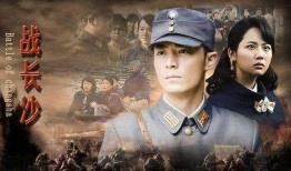 抗日电视剧,抗日英雄的壮丽征程