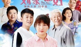 刘家媳妇电视剧,命运交织的家族传奇