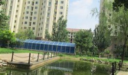 金商花园爆料视频大全,揭秘花园里的秘密与故事