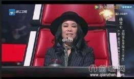 最新爆料那英过往事件视频,揭秘娱乐圈风云变幻