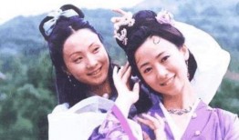 翁虹电视剧,演绎传奇人生，绽放魅力风采