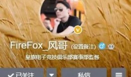 风哥爆料老板视频大全,老板视频大全背后的精彩瞬间