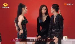 张萌爆料姐姐视频大全,姐姐视频大全背后的故事与真相