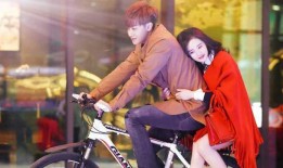 最热电视剧,揭秘中国刑侦界的巅峰对决