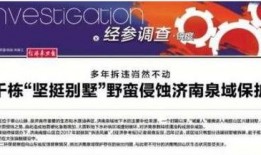 保利民宿爆料案例最新视频,最新视频揭露惊人内幕，揭秘行业乱象