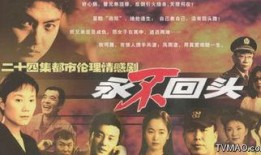 电视剧永不回头,命运抉择与人生抉择的悲歌