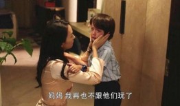 亲妈电视剧全集30,情感纠葛与家庭纷争的巅峰对决
