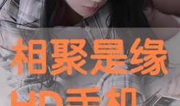 缘在线观看,跨越时空的浪漫邂逅