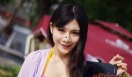 麻豆z,揭秘时尚界的璀璨新星