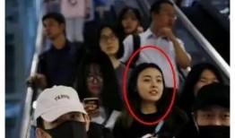 桃溪粉丝爆料视频大全集,揭秘幕后故事与精彩瞬间