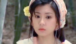 贾静雯主演电视剧,穿越时空的爱恋