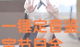 一锤定音在线观看