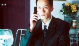 冯远征电视剧,演绎人生百态，塑造经典角色