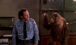 兽心在线观看,揭秘动物世界中的激情与冒险