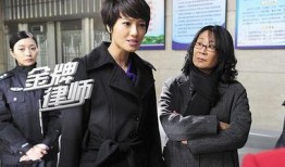 金牌律师电视剧,智斗风云，正义之战