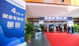 南京媒体爆料新闻视频,重大新闻事件引发社会关注