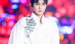 王源演唱会门票爆料视频,揭秘幕后爆料视频精彩瞬间