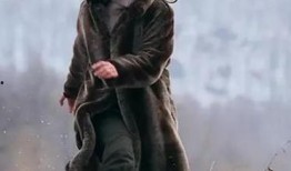 电视剧 悬崖,生死边缘的谍战风云