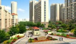 金商花园爆料视频大全,揭秘花园里的秘密与故事