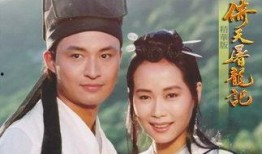 马景涛演过的电视剧,激情演绎，经典剧集回顾