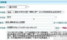 新闻投稿爆料热线入口,一键直通真相之门
