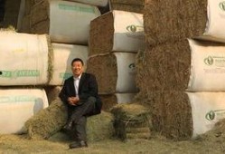 轻轻草在线视频观看,轻松愉悦的视觉盛宴