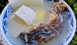 天麻豆腐汤,养生滋补的佳肴秘方