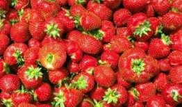 小花妞新疆爆料草莓视频,小花妞带你领略大美新疆的甜蜜诱惑