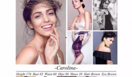 麻豆吧模特,时尚界的璀璨新星