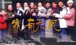 家有九凤电视剧全集,九姐妹的欢乐生活传奇