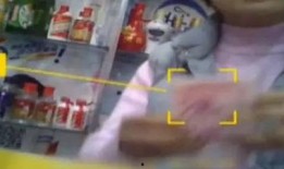 河南大娘爆料视频大全集,揭秘生活百态