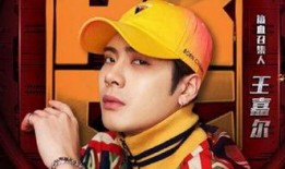 王嘉尔尴尬爆料视频合集,笑料百出，回忆满满