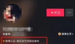 抖音账号里的爆料视频,揭秘热门视频背后惊人真相！”