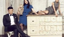 金牌律师电视剧,智斗风云，正义之战