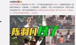 北京爆料大王事件视频播放,视频曝光背后的真相与争议