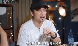 娱乐吃瓜汪小菲,娱乐圈的“吃瓜”达人