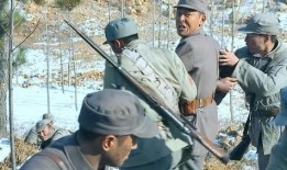 打仗的电视剧,战地青春传奇