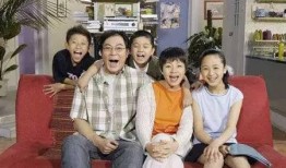 学生的电视剧,梦想与现实的交织