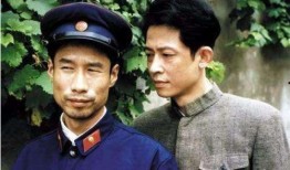 底线电视剧演员表,实力派演员齐聚，演绎法治守护者传奇