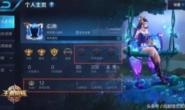 王者最新爆料游戏有哪些,揭秘游戏最新内容与更新