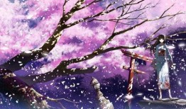 樱花漫画网站,探索日本动漫文化的魅力之旅