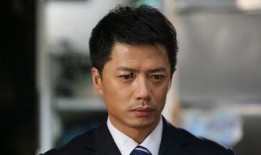 陈顶天是什么电视剧,传奇英雄的崛起之路