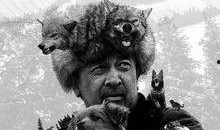 狼狗电影在线观看,在线观看，尽享狂野激情