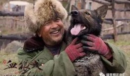 狼狗电影在线观看,在线观看，尽享狂野激情